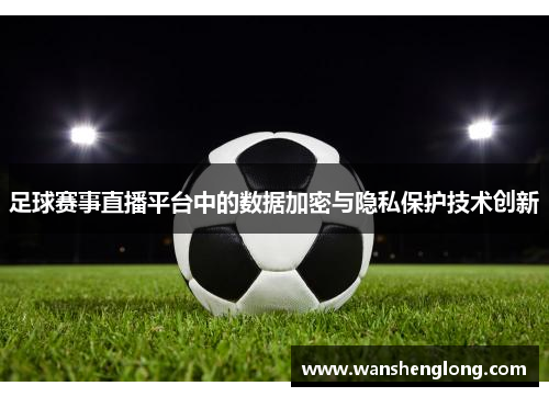 足球赛事直播平台中的数据加密与隐私保护技术创新